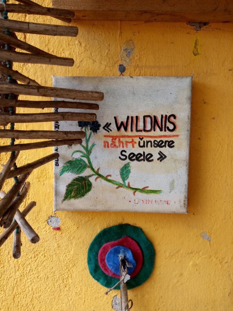 Spruch Wildnis nährt unsere Seele